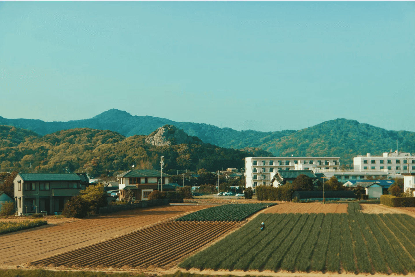 大分市 土地 査定